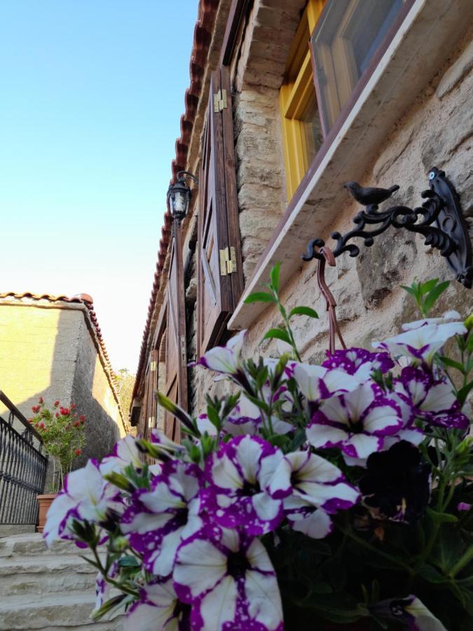 Sari Keci Tas Otel İmroz Bagian luar foto